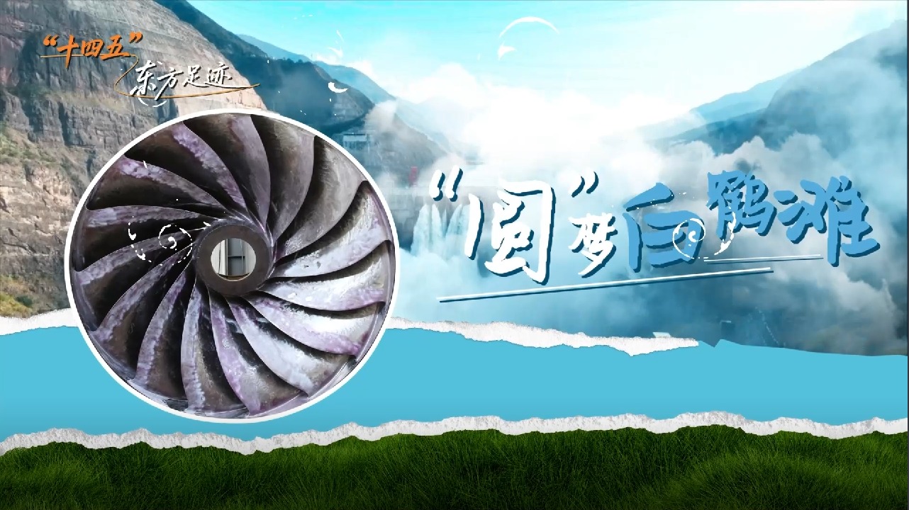 w88win优德(中国区)唯一官方网站