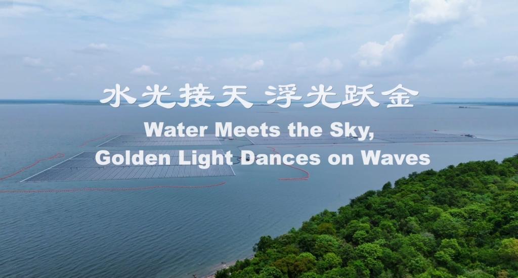 w88win优德(中国区)唯一官方网站