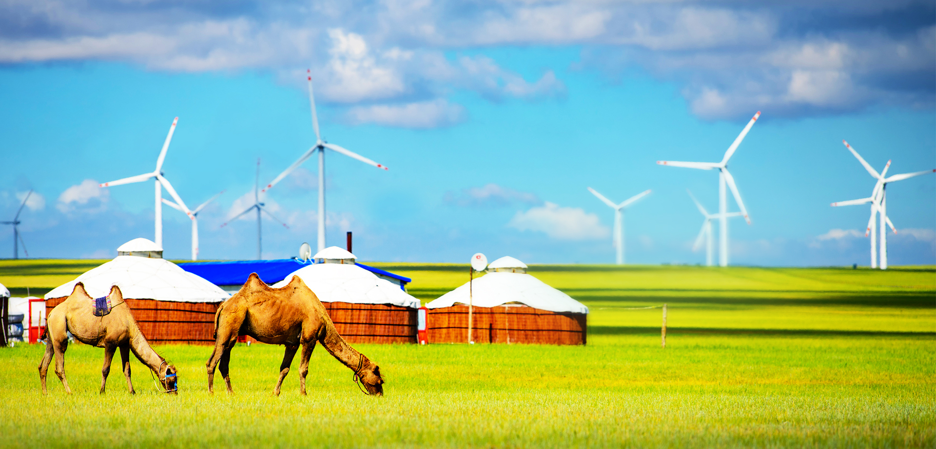 w88win优德(中国区)唯一官方网站