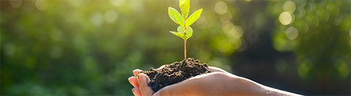 w88win优德(中国区)唯一官方网站